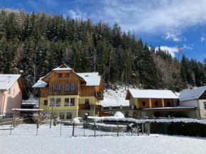 Ferienwohnungen Hannesbichler